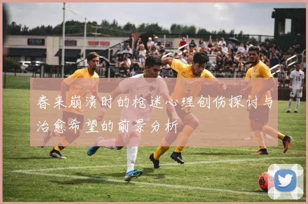 春来崩溃时的枪迷心理创伤探讨与治愈希望的前景分析